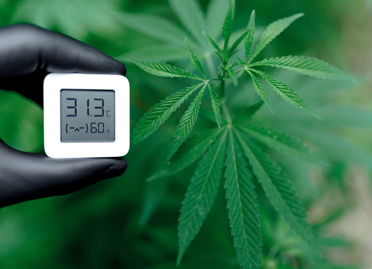 Luftbefeuchtung und Entfeuchtung im Hanfanbau und in der Verarbeitung