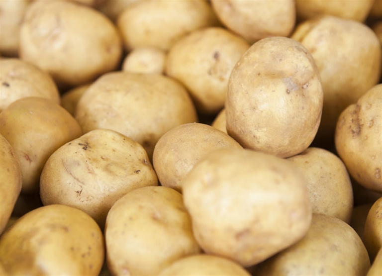 Humidification stockage d'aliments