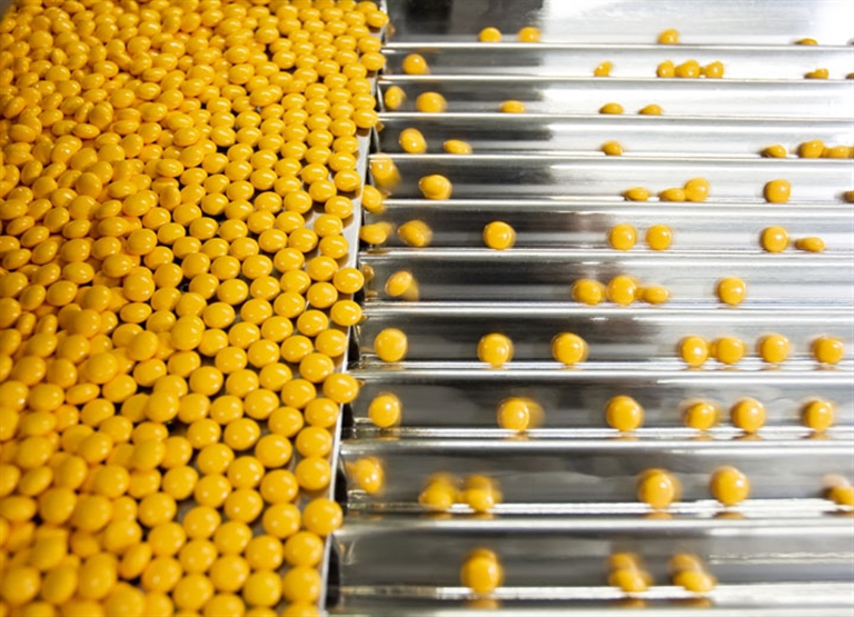 Produktion von pharmazeutischen Produkten