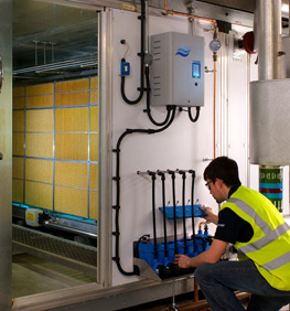 Humidifier maintenance