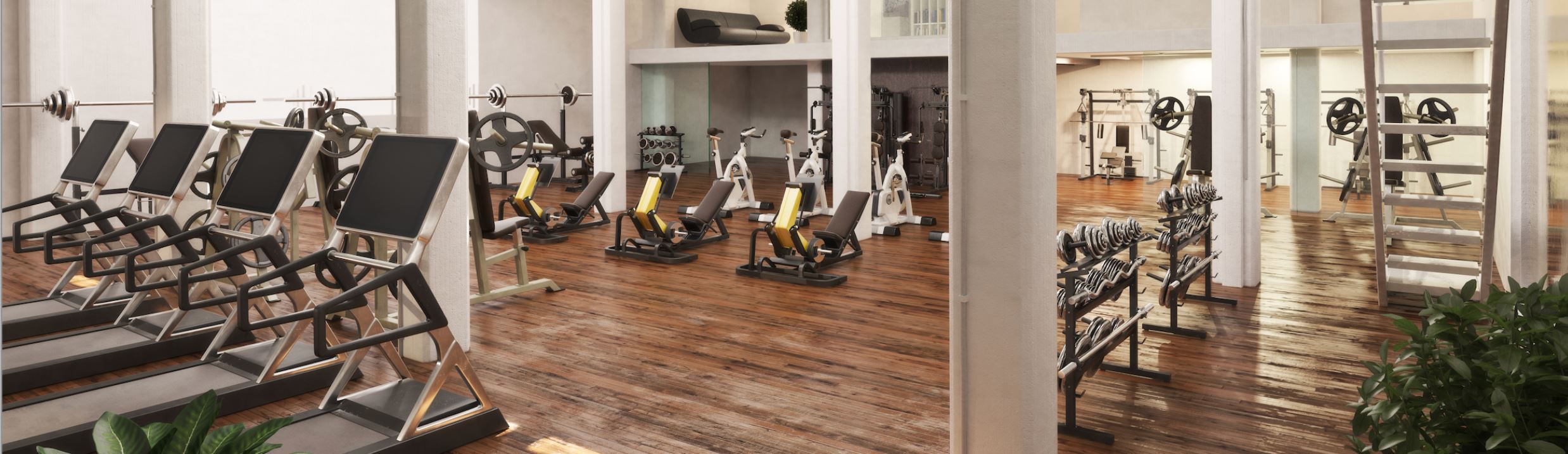 Fitness Studios