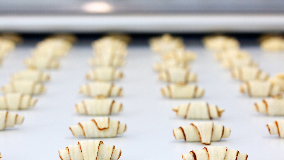 Croissants in production baking process