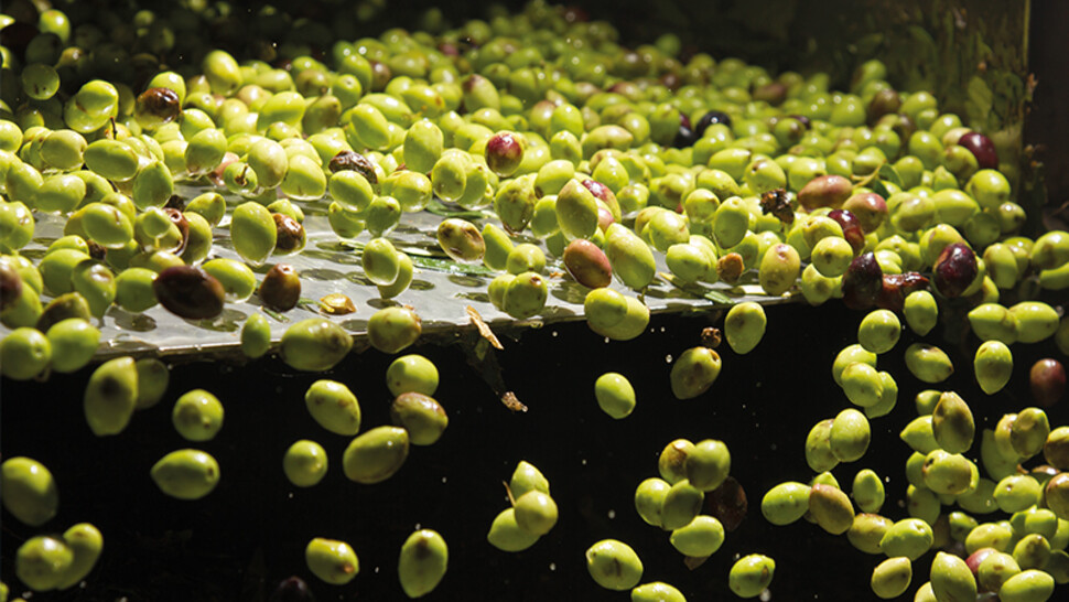 Image Conveyor technology Feed